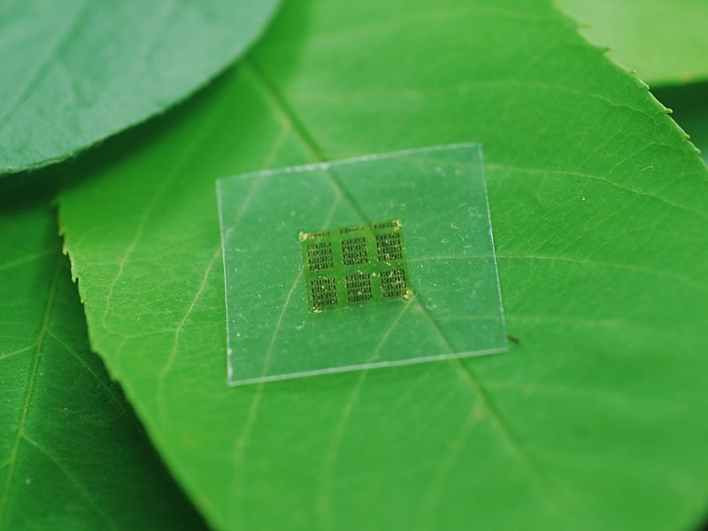 Transparent, biegsam und zu 100% recycelbar ist der neu entwickelte, biobasierte Träger für die Schaltkreise. (Bildquelle: © Yei Hwan Jung / Wisconsin Nano Engineering Device Laboratory)