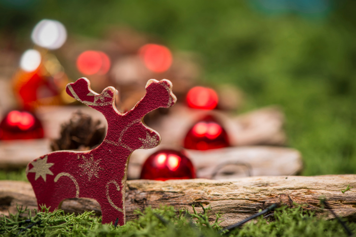 Pflanzenforschung.de wünscht frohe Weihnachten. (Bildquelle: © merc67/ iStock/Thinkstock)