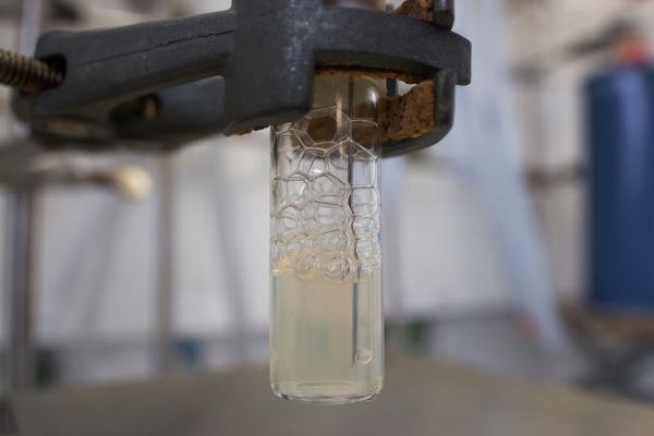 Zur biochemischen Untersuchung des neu entdeckten Oxidase-Enzyms musste ein spezieller Versuchsaufbau in Sauerstoff-freier Atmosphäre eingesetzt werden. © Jakob Franke. 