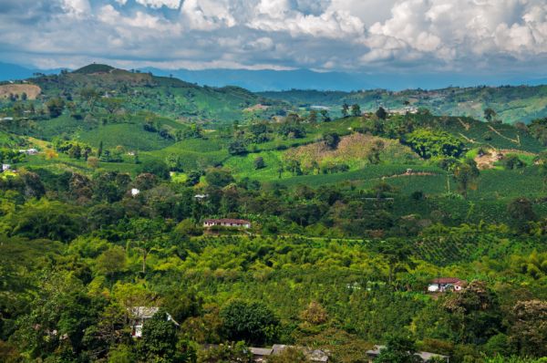 Die Landschaft Kolumbiens ist so vielfältig wie seine Pflanzenwelt. (Quelle: © iStock.com/ DC_Colombia)