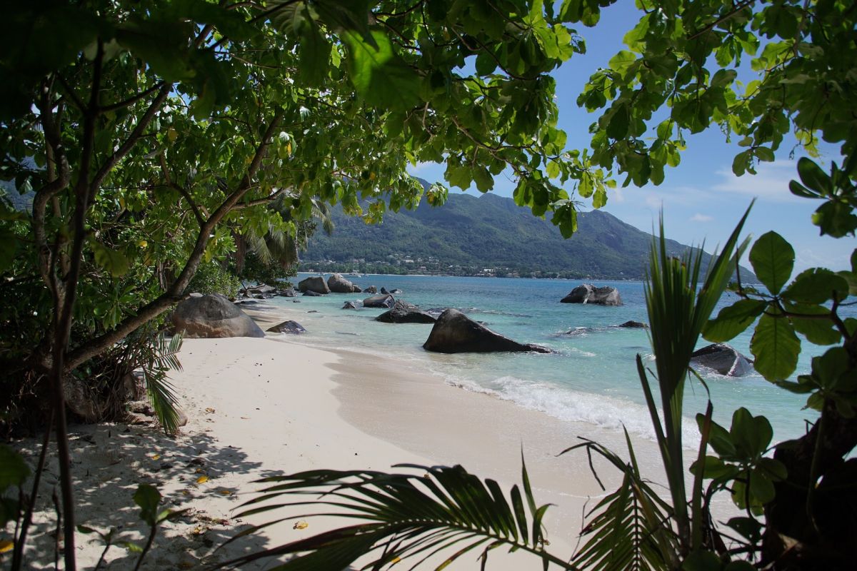 Insel der Seychellen: Weit von Festland entfernte Inseln haben natürlicherweise weniger Pflanzenarten, die eine Symbiose mit Mykorrhiza eingehen als in den gleichen Breiten auf dem Festland.