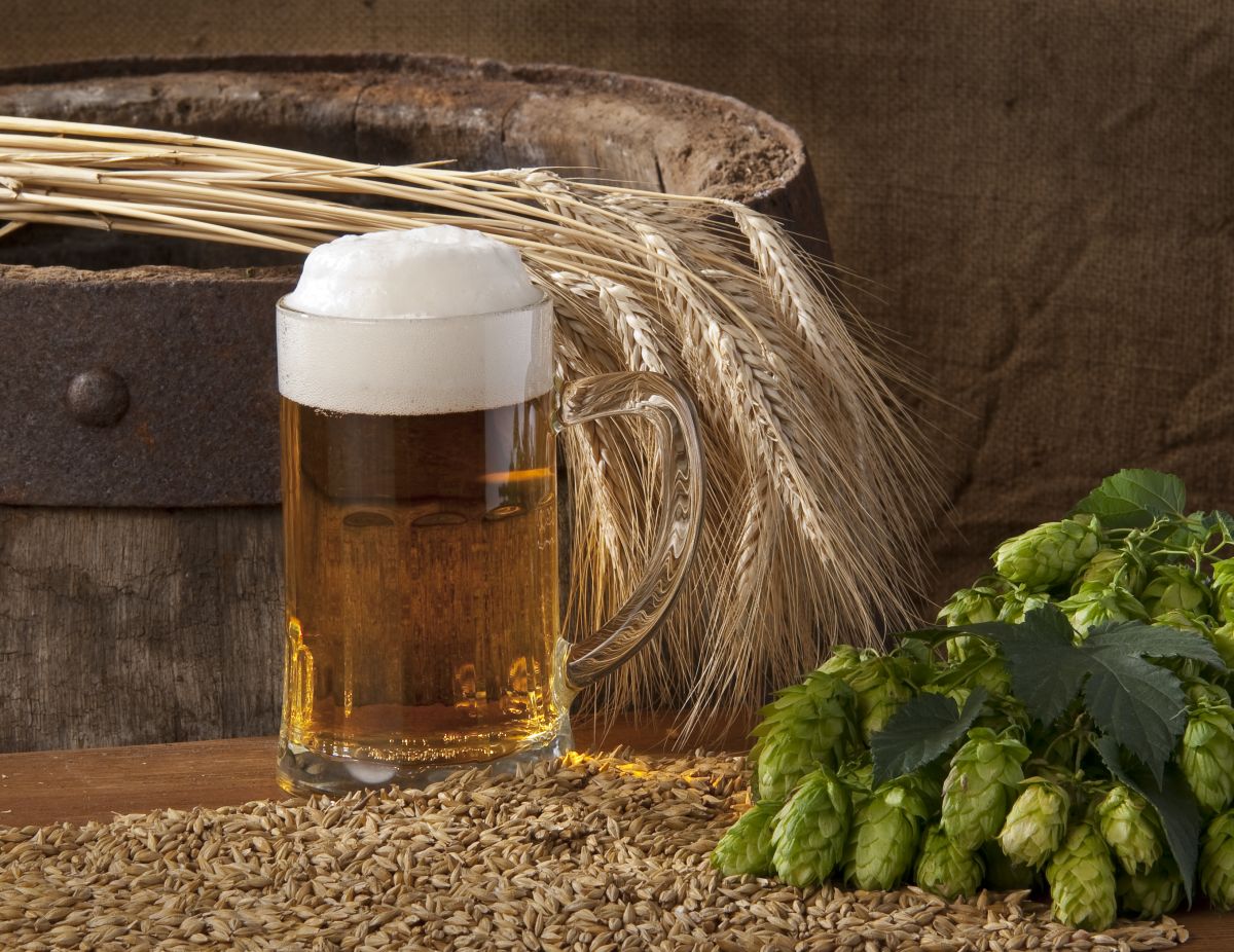Heiße, trockene Sommer ohne Bier? Wissenschaftler haben der deutschen Braugerste zu mehr Trockentoleranz verholfen. (Bildquelle: © iStock.com / aaron007)