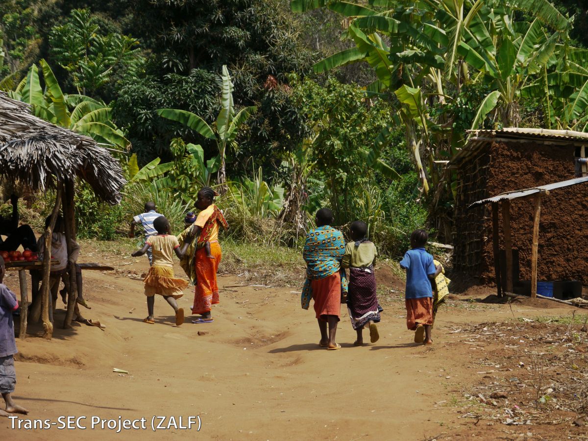 Ein Ziel von Trans-SEC ist es, Kinder in Subsahara-Afrika vor Mangelernährung zu schützen. (Bildquelle: © transsecproject/flickr)