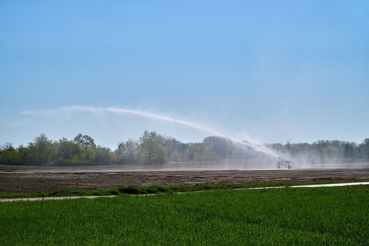 Wassermangel auf den Feldern wird wohl zur neuen Normalität werden.
