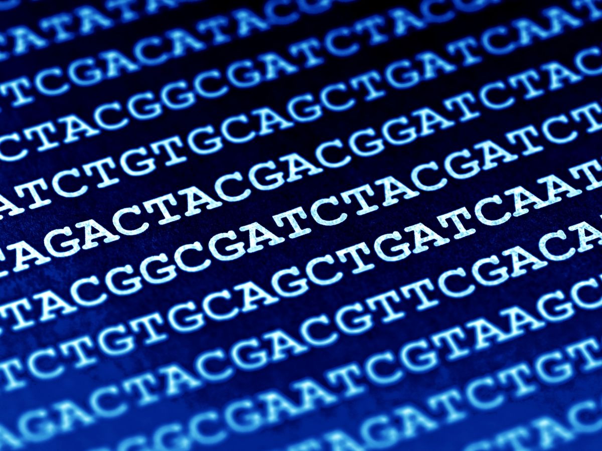 Bei der DNA-Sequenzierung wird die Basenabfolge des Genoms bestimmt. Dabei kommen vier Basen vor: Adenin (A), Cytosin (C), Guanin (G) und Thymin (T). (Bildquelle: © iStock.com / isak55)