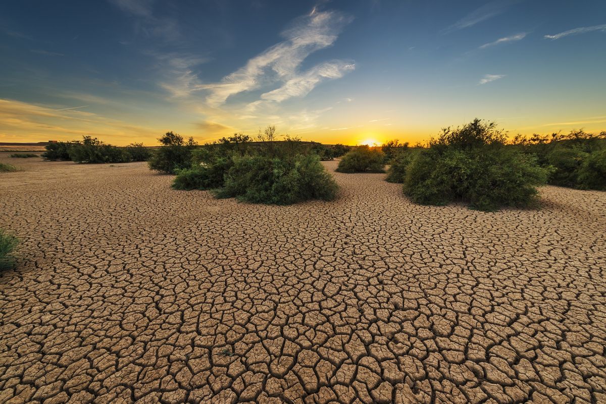 Extreme Wetterbedingungen wie Dürreperioden sind eine Folge des Klimawandels. Wissenschaftler haben nun einen Weg gefunden, Pflanzen an extrem Trockenheit anzupassen – ohne Einbußen im Wachstum hinnehmen zu müssen. (Bildquelle: © Pixabay/CC0)