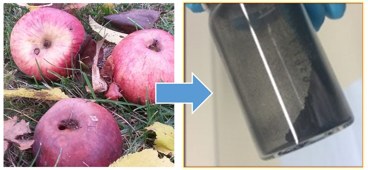 Forscher entwickeln ein neuartiges, kostengünstiges und leistungsstarkes Aktivmaterial für Natrium-basierte Energiespeicher: Das neue kohlenstoffbasierte Material für Natrium-Ionen-Batterien kann aus Äpfeln gewonnen werden. Für die Herstellung der Elektrode wurden Äpfel zunächst getrocknet, bis sie zu 95 % aus Kohlenstoff bestanden.
