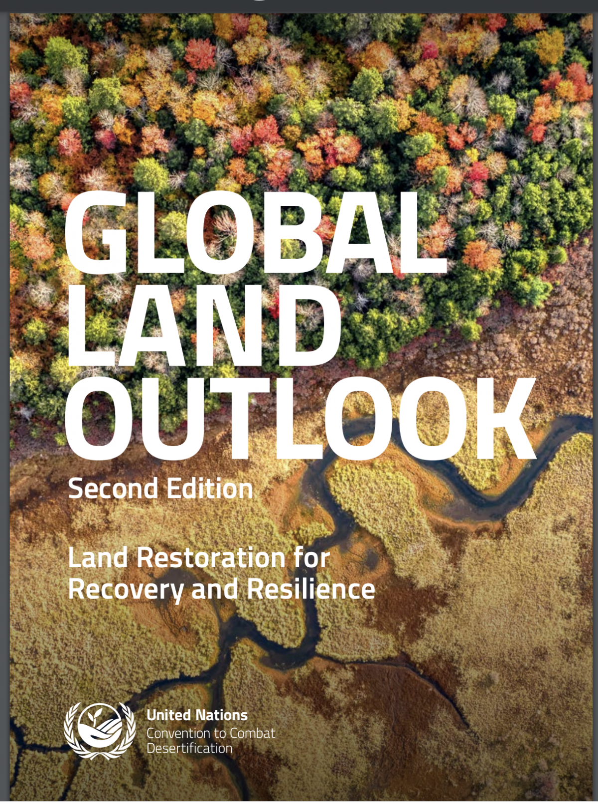 Der Global Land Outlook 2 ist der bisher umfassendste Bericht zu diesem Thema. Er wurde kurz vor der COP15 der UNCCD in Afrika veröffentlicht. 
