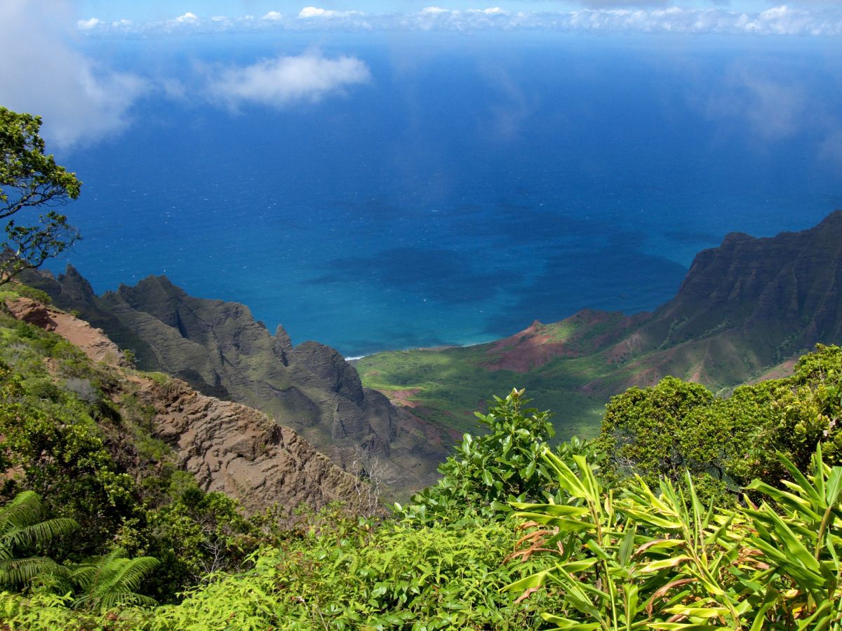 Hawaii hat den höchsten registrierten Verlust an Samenpflanzenarten weltweit seit 1900. (Bildequelle: © Michal Lech/Pixabay/CC0)