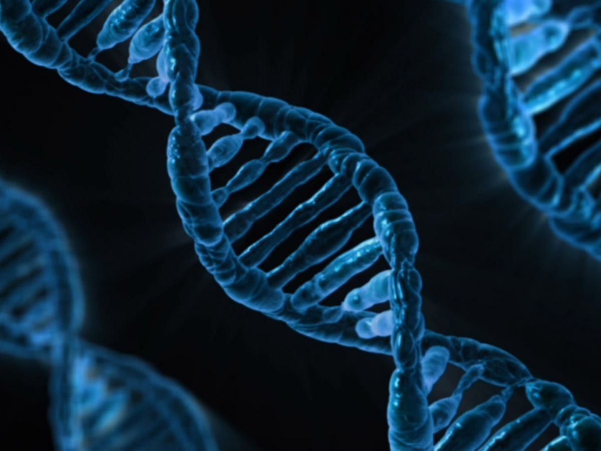 Mit neuen genomischen Techniken wie der Genschere CRISPR/Cas können gezielte Veränderungen des Genoms erzeugt werden. (Bildquelle: © PublicDomainPictures / Pixabay)