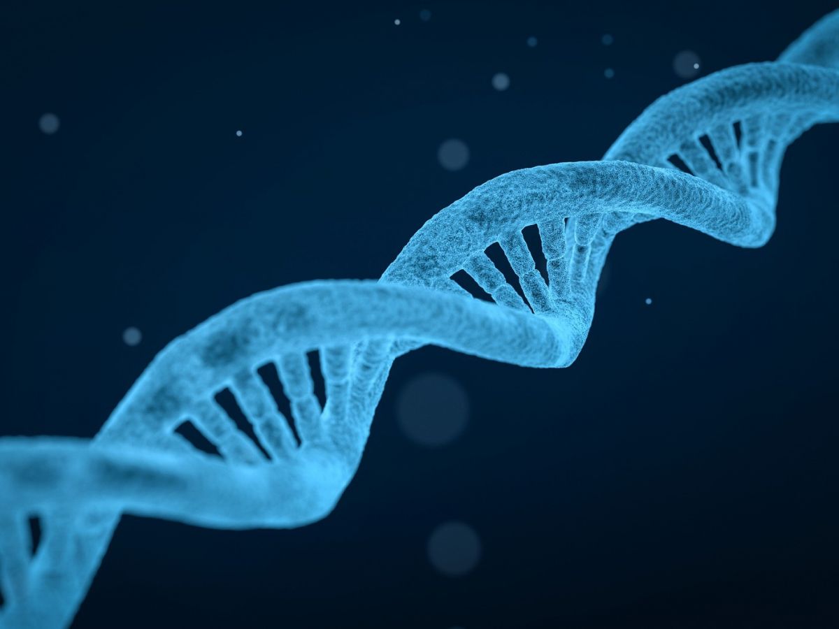 Der Begriff steht für eine Reihe von molekularbiologischen Methoden, die es ermöglichen, DNA gezielt zu verändern. Man spricht auch von zielgerichteter Mutagenese. Darunter zählen die Oligonukleotid gerichtete Mutagenese (ODM) oder der Einsatz ortsspezifischer Nukleasen, wie Zinkfingernukleasen (ZFN), Transcription Activator-like Effector Nucleases (TALENs) oder die wohl bekannteste Methode von allen: CRISPR/Cas.