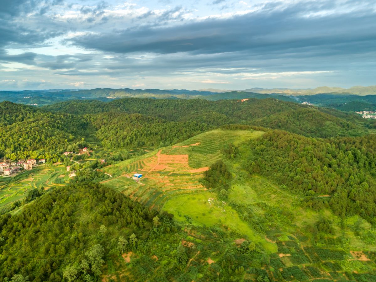Subtropische Landschaft in der chinesischen Provinz Hunan mit terrassierten Feldern und Plantagen sowie Waldresten. (Bildquelle: © iStock.com/hrui)