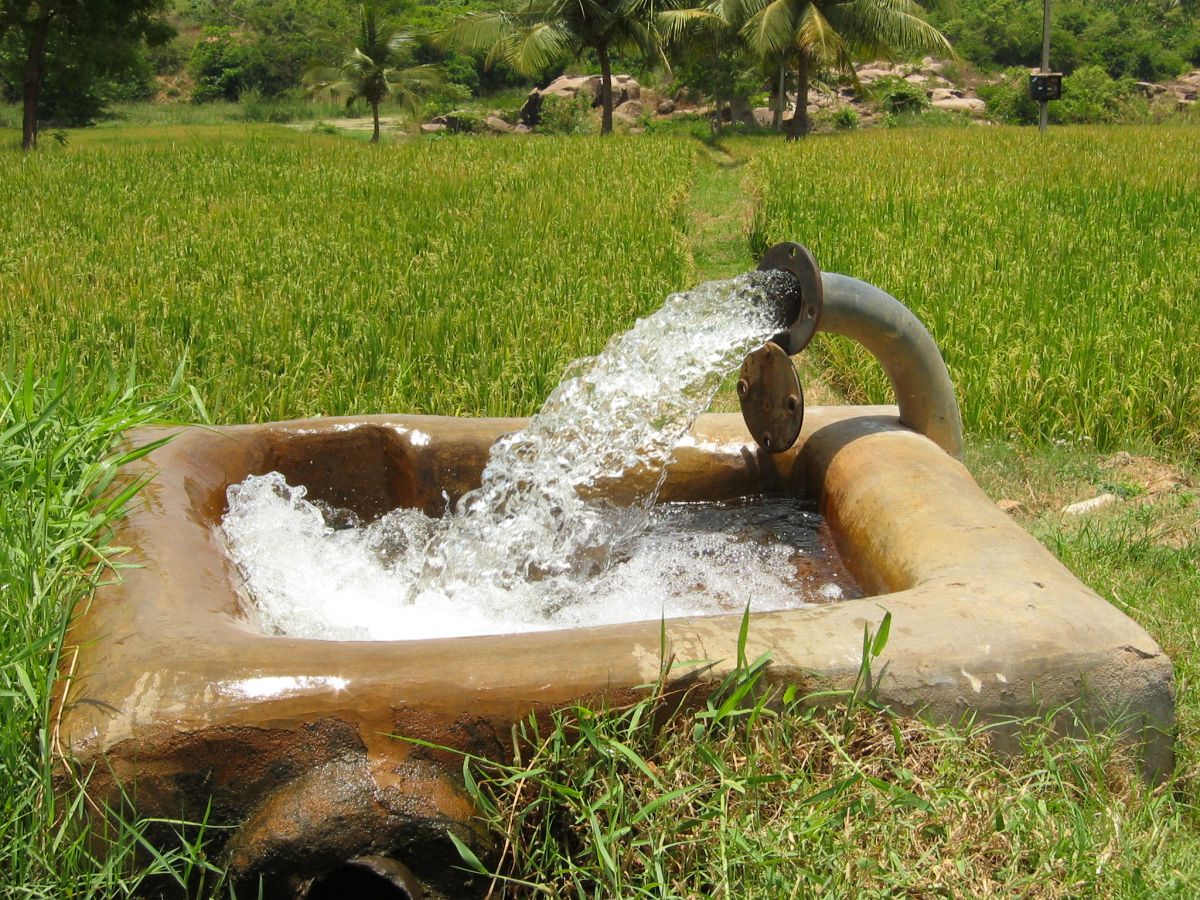 Bewässerung eines Reisfeldes in Indien: In trockenen Gebieten ist die künstliche Bewässerung unabdingbar für die Nahrungsmittelversorgung. (Bildquelle: © Sebastianjude/wikimedia.org; CC BY-SA 3.0)