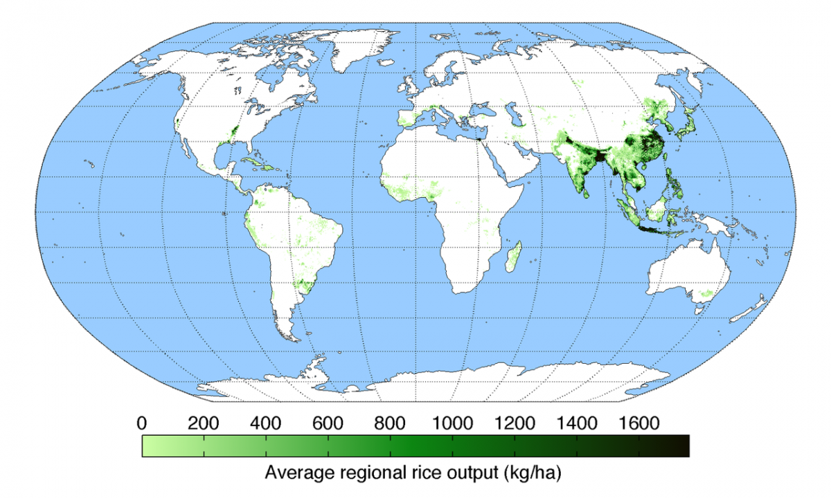 Die Weltkarte zeigt, wie hoch die durchschnittlichen Flächenerträge (Kilo pro Hektar) im Reisanbau sind. In den Regionen mit den höchsten Erträgen ist der Nassreisanbau aufgrund seiner hohen Produktivität am meisten verbreitet.