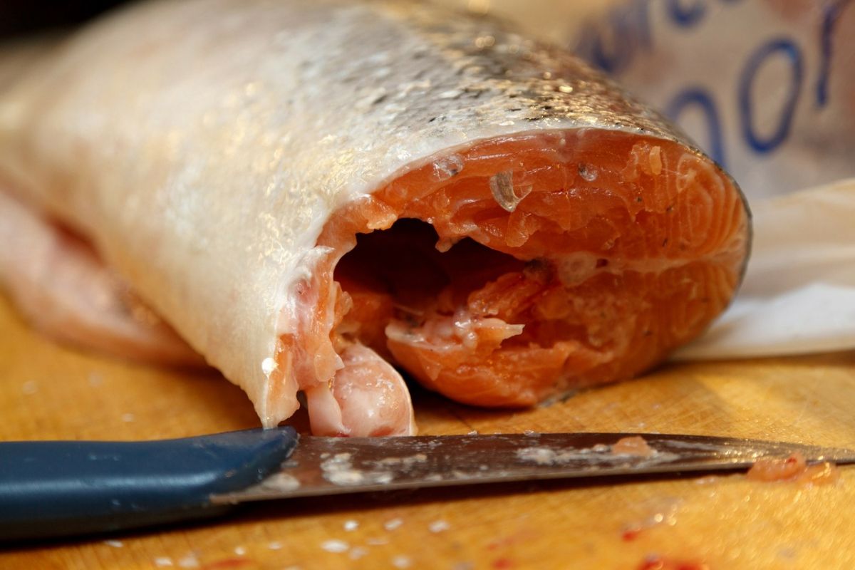Lachs erhält seine typische rosa Fleischfarbe durch den Farbstoff Astaxanthin, der bei der Fischzucht durch die veränderte Fütterung extra zugeführt werden muss.