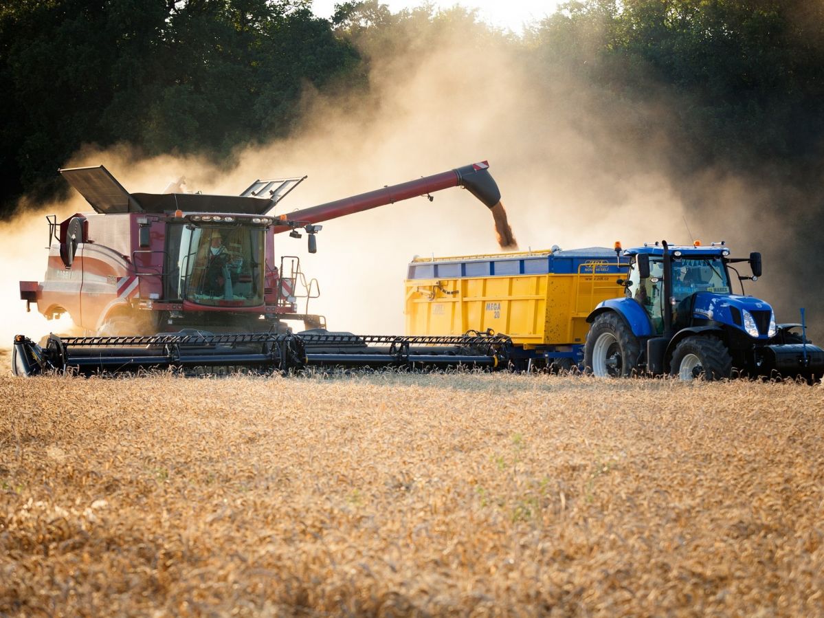 Hafer kommt mit weniger Dünge- und Pflanzenschutzmitteln aus als Weizen, liefert aber pro Hektar auch nur etwa zwei Drittel des Ertrags. Hier besteht noch Optimierungspotential.

