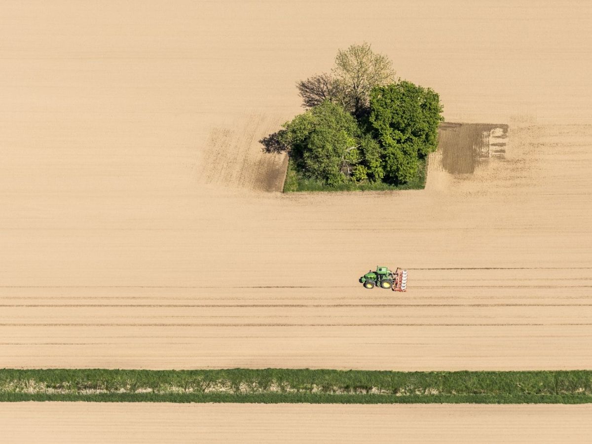 Natur und Landwirtschaft: Eine Studie beleuchtet den Zielkonflikt zwischen Ernährungssicherheit und Biodiversität. (Bildquelle: © Markus Breig, KIT)