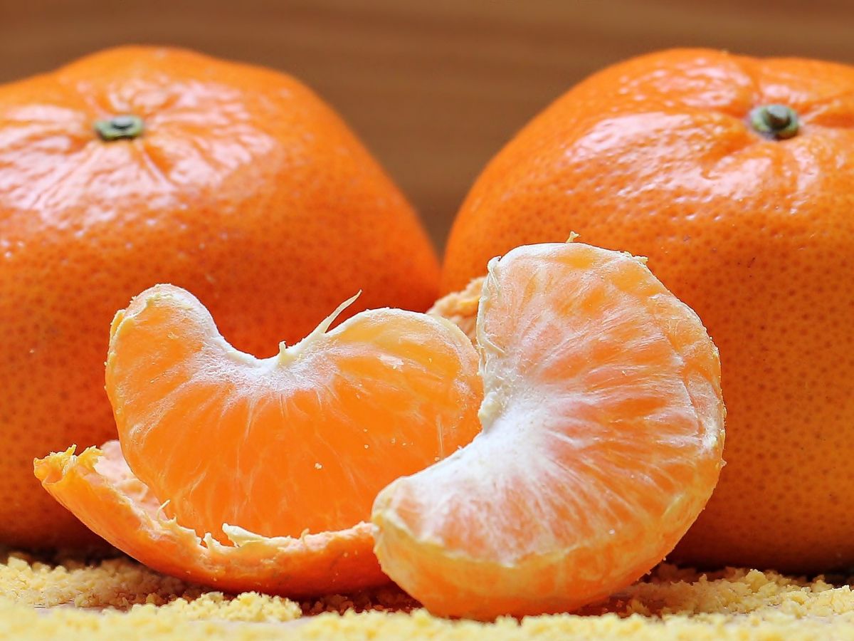 Mit der Genschere CRISPR/Cas konnte der Zitruskrebs bei Orangenbäumen besiegt werden. (Bildquelle: © NoName_13 / Pixabay)