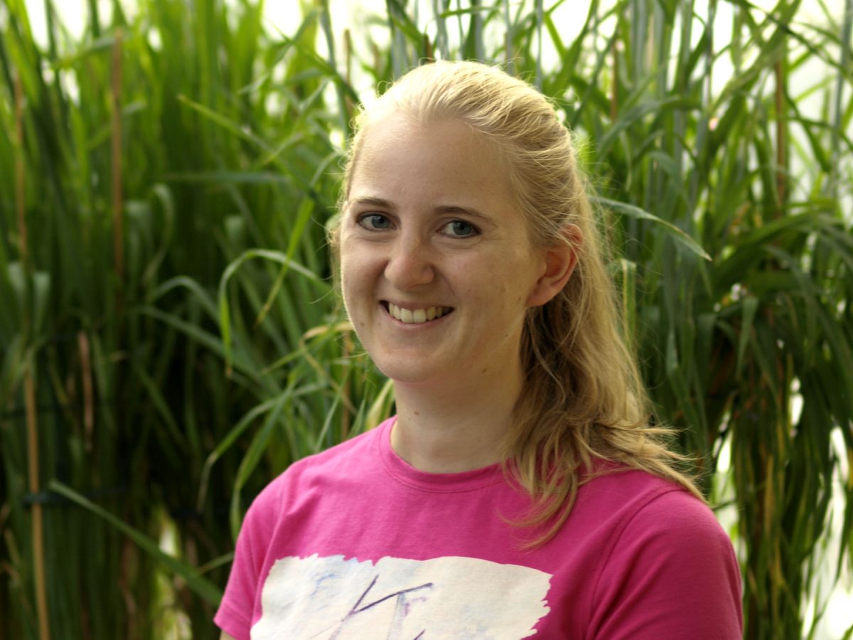 Die Pflanzenforscherin Iris Hoffie hat sich ein großes Ziel gesetzt: Getreide soll sich selbständig gegen Rostpilze verteidigen können. Dazu setzt sie die Genschere CRISPR/Cas9 ein. (Bildquelle: © Robert Hoffie)