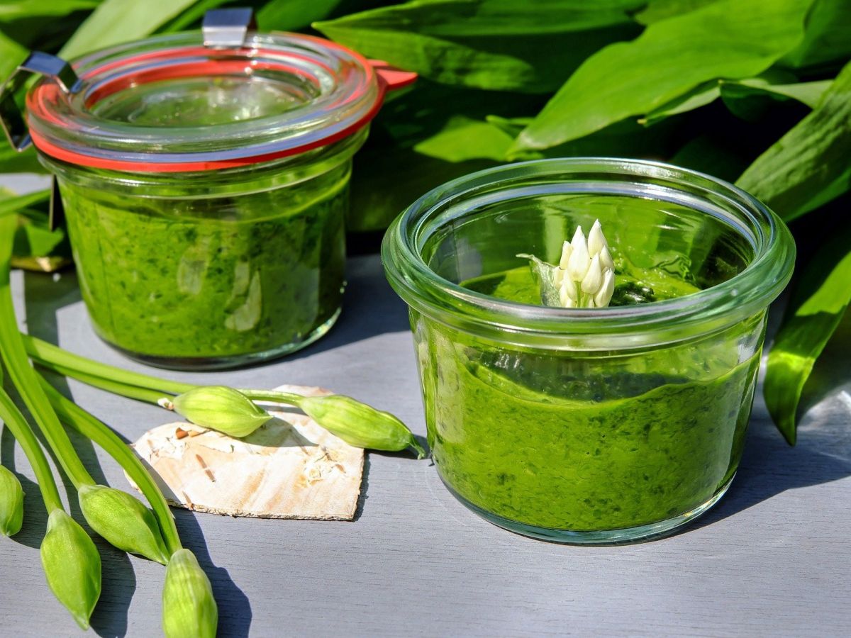 Bärlauch-Pesto gehört zu den beliebtesten Rezepten, die aus frisch gesammelten Bärlauchblättern hergestellt werden.
