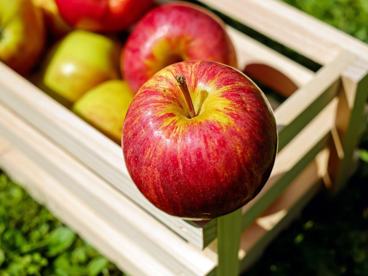 One apple a day keeps the doctor away – es sei denn, man hat eine Apfelallergie. (Bildquelle: © Couleur / Pixabay)