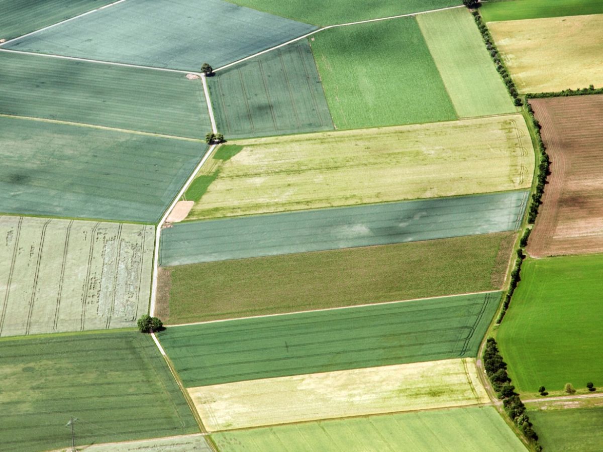 Agronomische Vielfalt ist landwirtschaftliche Realität in Europa und führt zu dem uns vertrauten Landschaftsbild. (Quelle: © iStockphoto.com/Meinzahn)