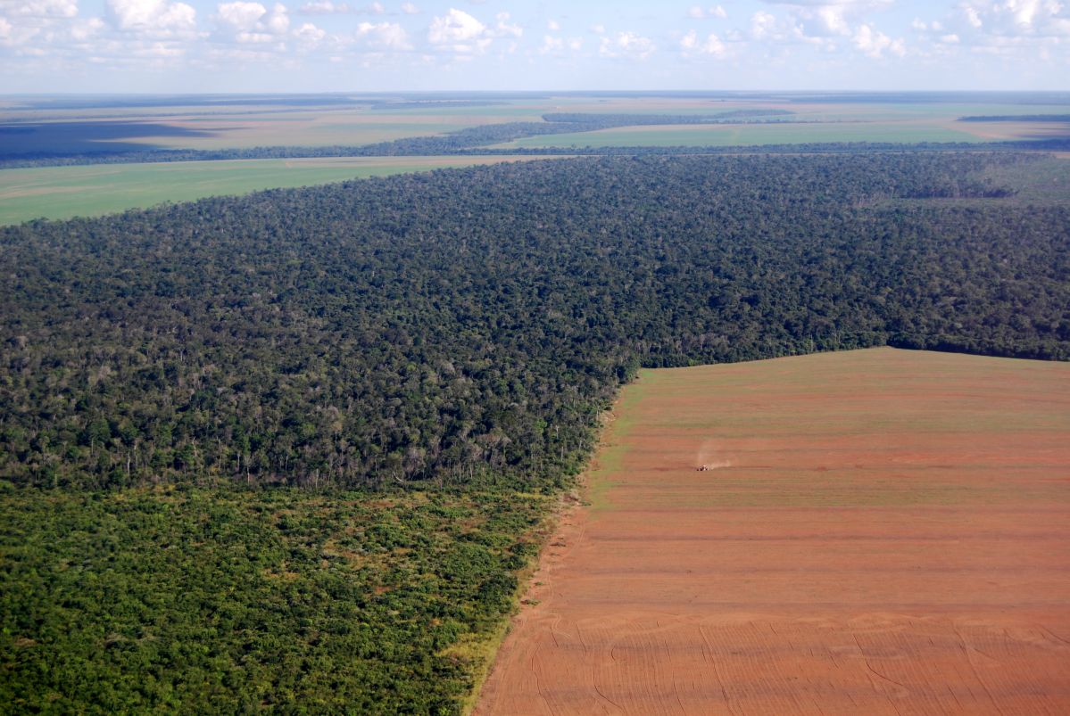 Die Rodung des Amazonas-Regenwaldes für die menschliche Landnutzung, zum Beispiel für die Landwirtschaft, bedroht die Stabilität des Ökosystems. (Bildquelle: © iStock / Phototreat)