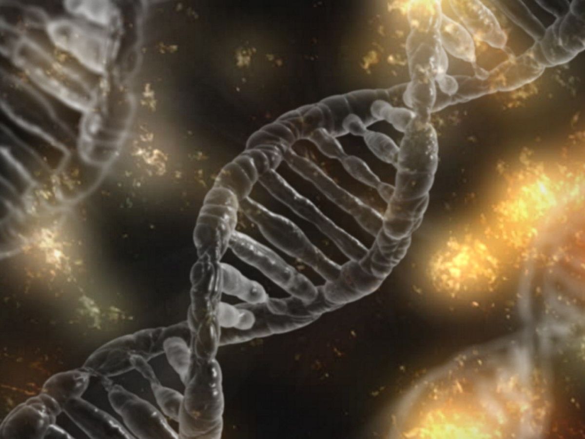Mit der neuen Methode können „ideale“ Zielsequenzen für die Genschere abgeleitet werden – die Genomeditierung wird noch präziser. (Bildquelle: © David Laganzon / Pixabay)