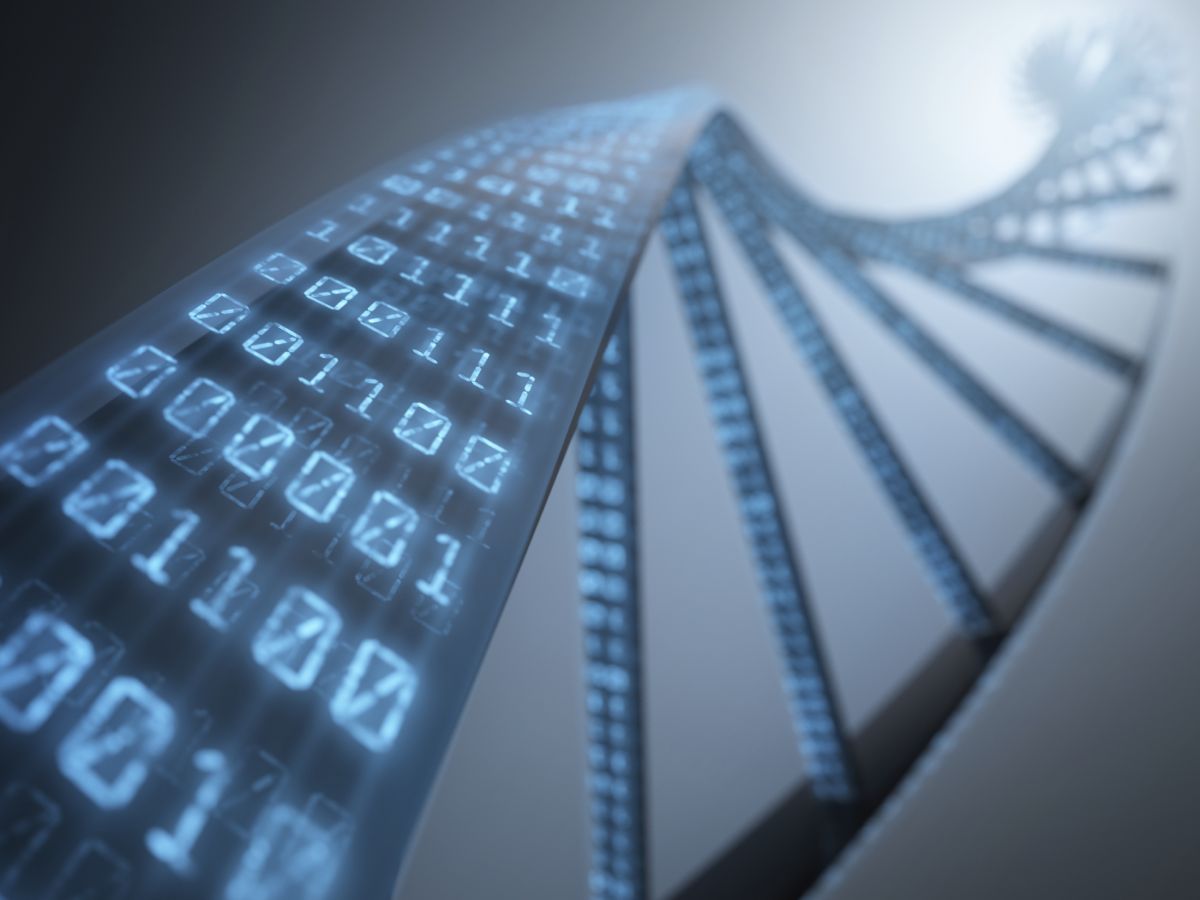DNA, eignet sich nicht nur zum Speichern von Erbinformationen, sondern auch als Rechner-System. DNA-Rechner visualisierten ihre Ergebnisse bisher mittels eines binären Codes. (Bildquelle: © iStock.com/ktsimage)