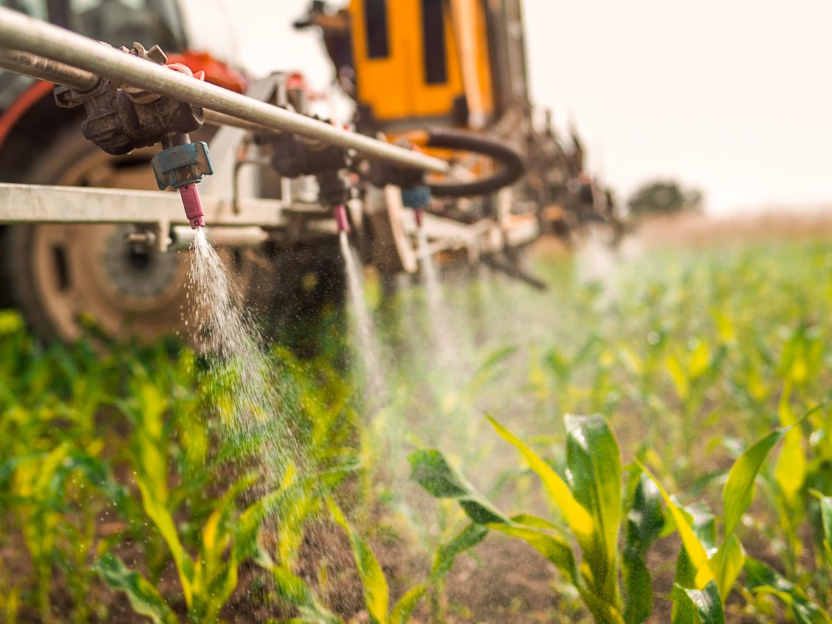 Landwirte müssen oft mehrmals im Jahr Pestizide ausbringen, um ihre Kulturpflanzen vor Schädlingen zu schützen. Krankheitsresistentere Nutzpflanzen können den Einsatz von Pestiziden minimieren. 
