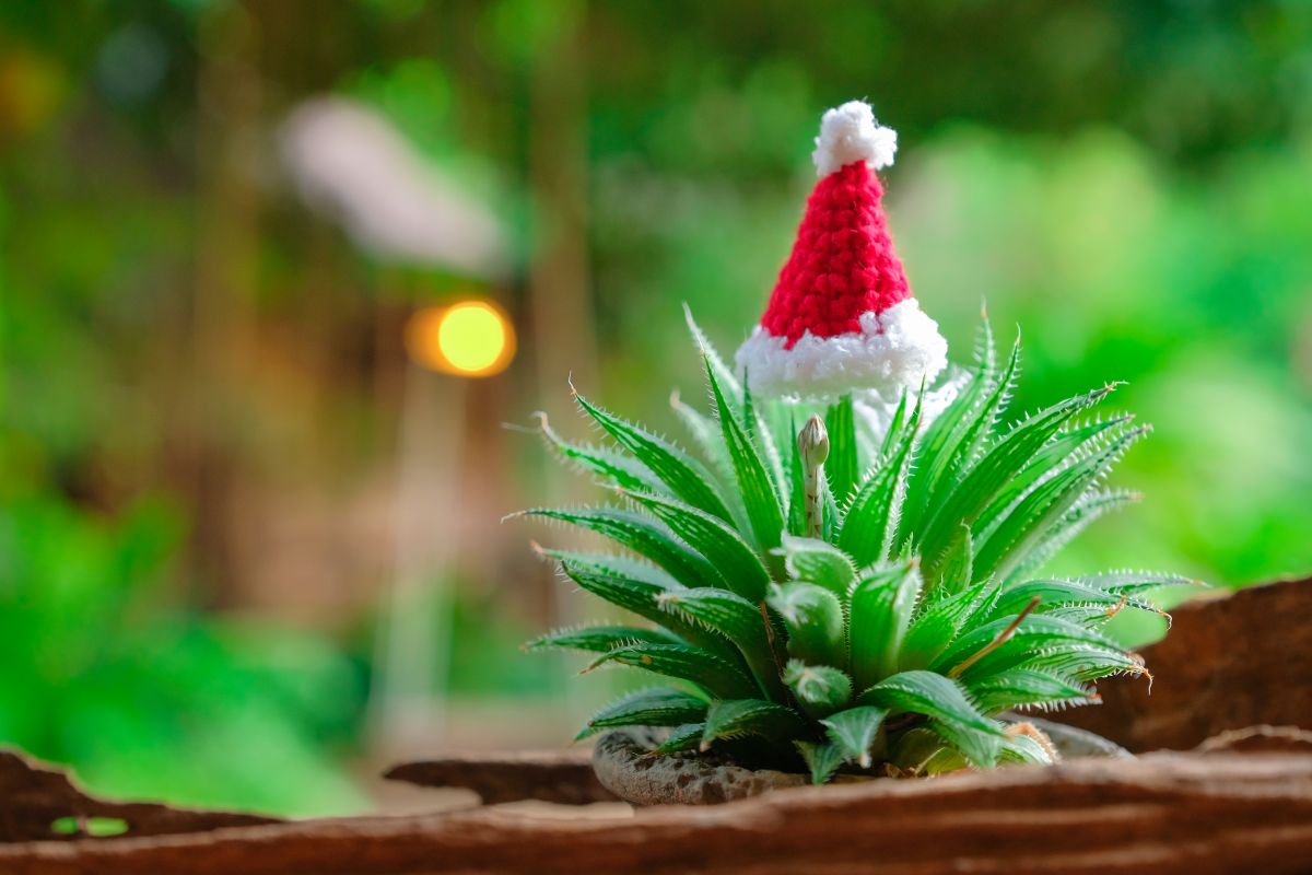 Fröhliche Weihnachten! (Bildquelle: © ANEK SANGKAMANEE / Shutterstock.com)
