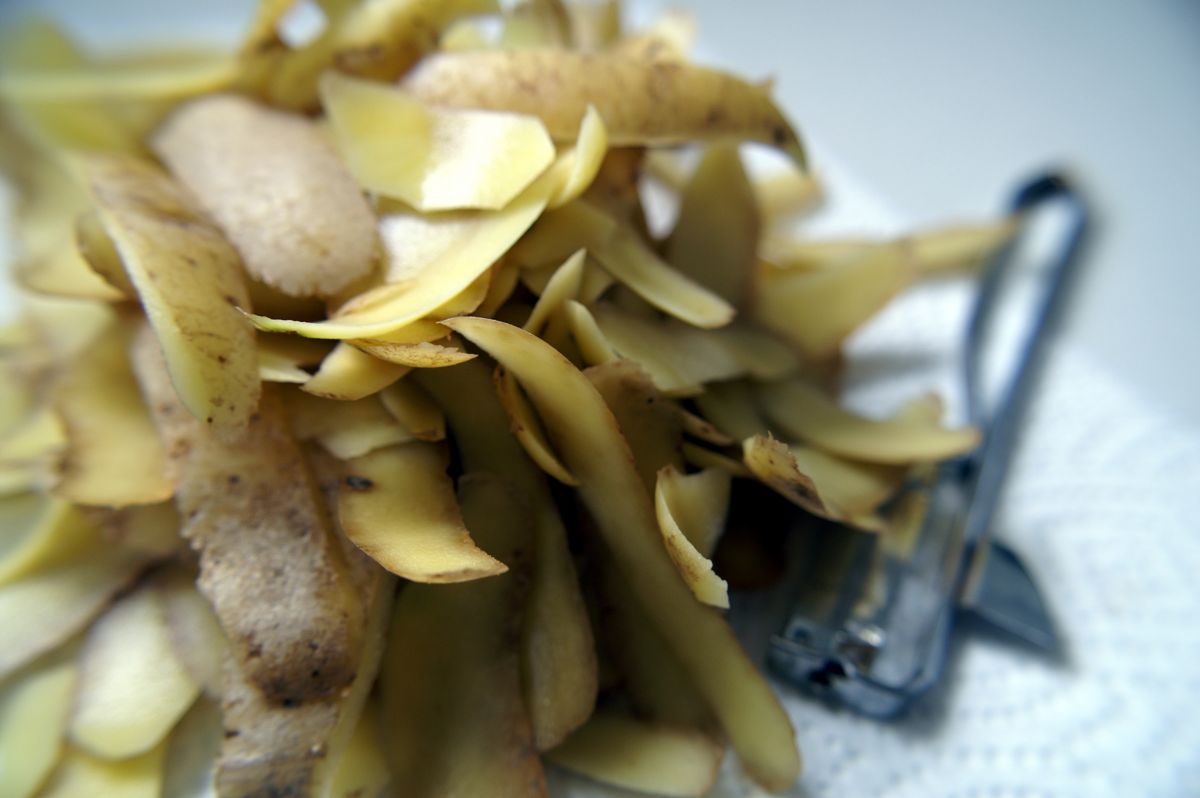 In der Kartoffelknolle befinden sich diese unerwünschten Inhaltsstoffe hauptsächlich in der Schale.