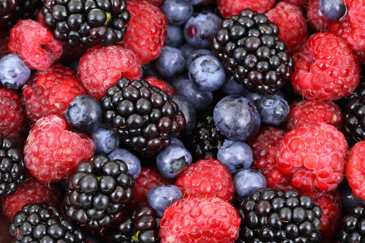 Blaue, violette oder rote Früchte wie Heidelbeeren, Brombeeren oder Himbeeren enthalten besonders viele Anthocyane.