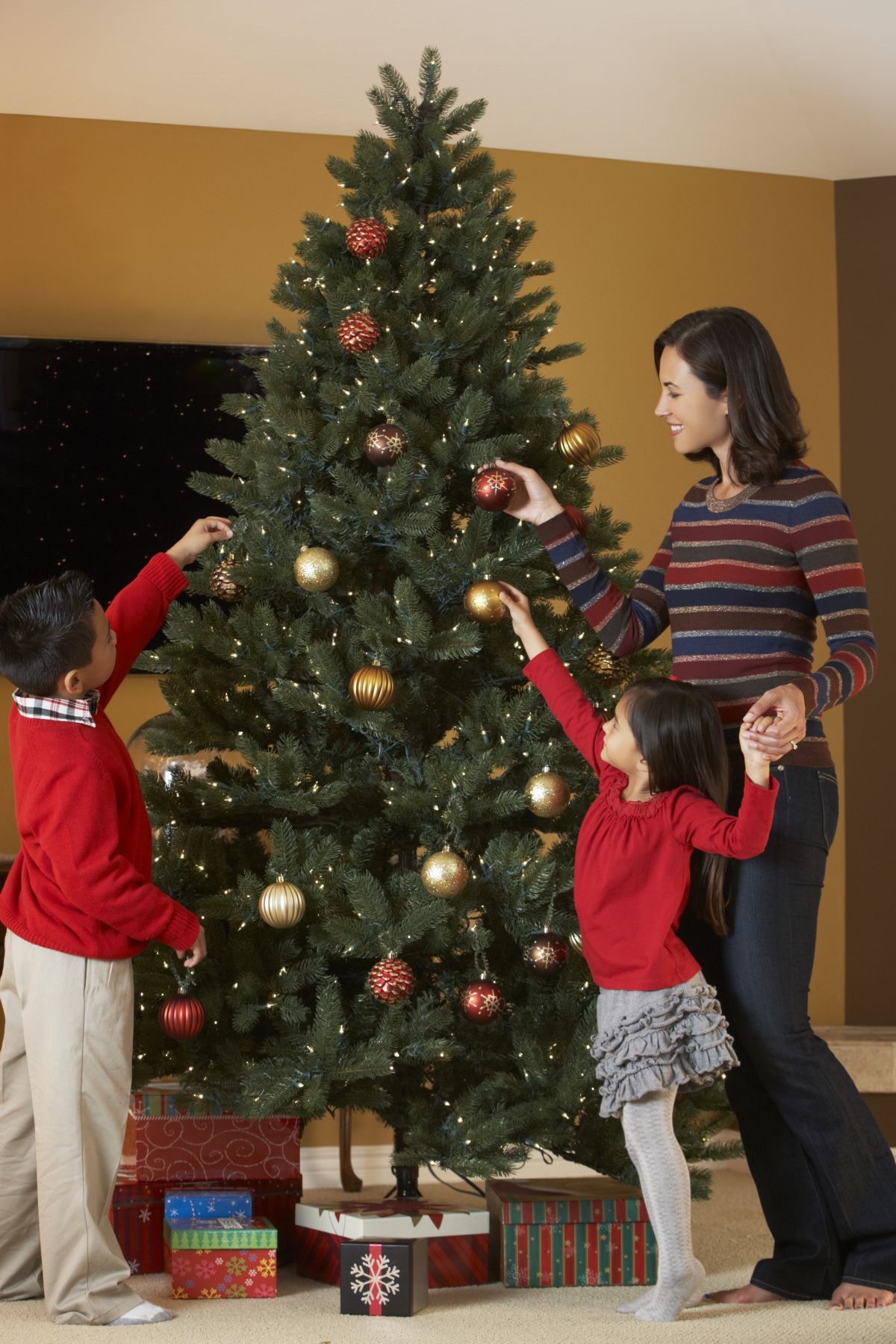 Knapp 30 Millionen Weihnachtsbäume werden zur Weihnachtszeit jährlich verkauft und erstrahlen in den deutschen Wohnzimmern.
