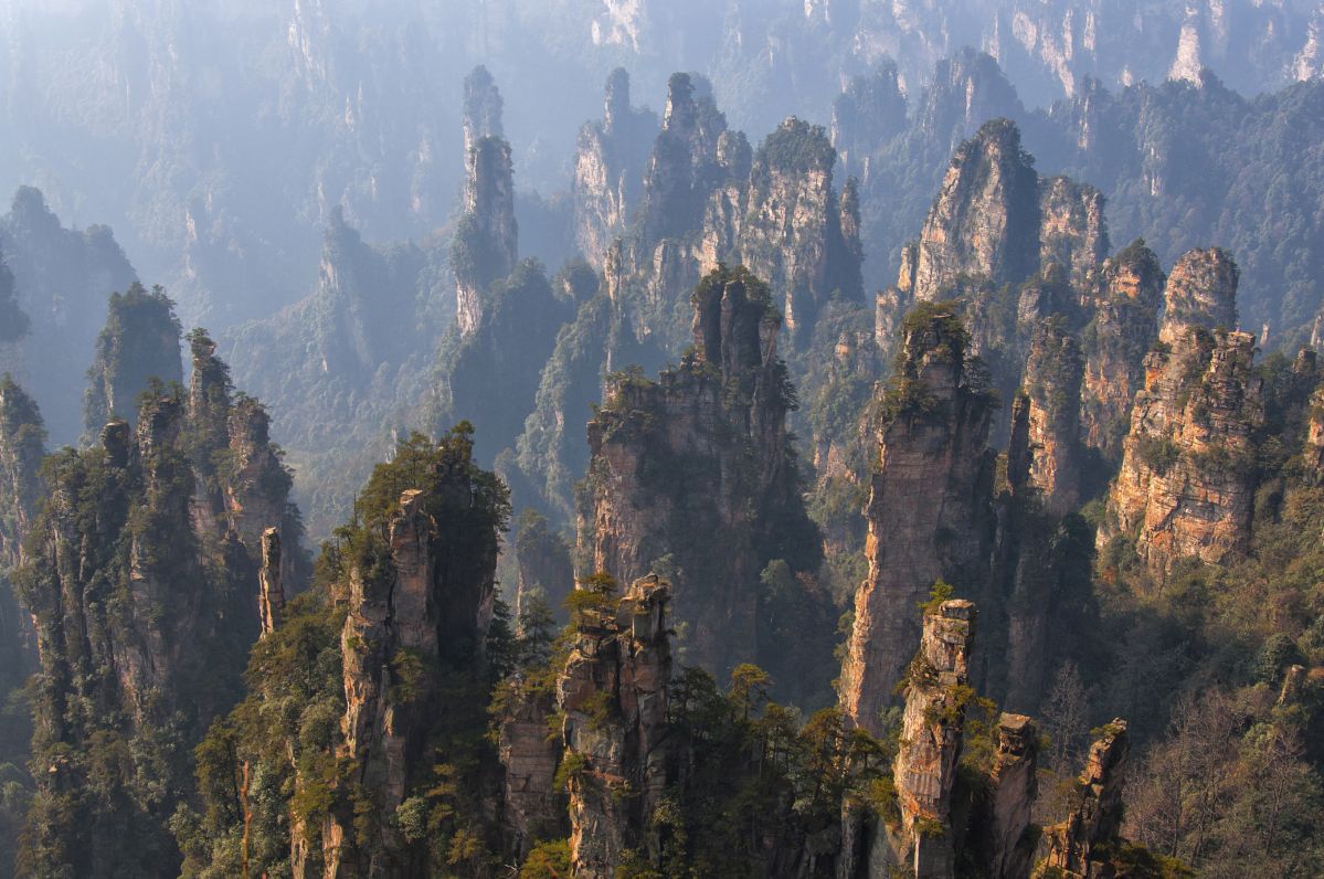 Karstlandschaft in China: Auf den schroffen Kalkfelsen leben die Pflanzen oft unter Trockenstress und Stickstoffmangel.