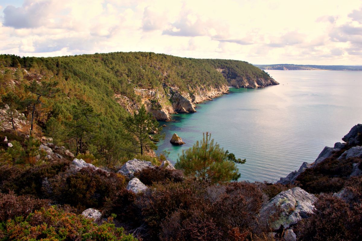 Die Bretagne liegt im Westen Frankreichs und grenzt an den Atlantischen Ozean. Das maritiime Klima prägt die Vegetation.
