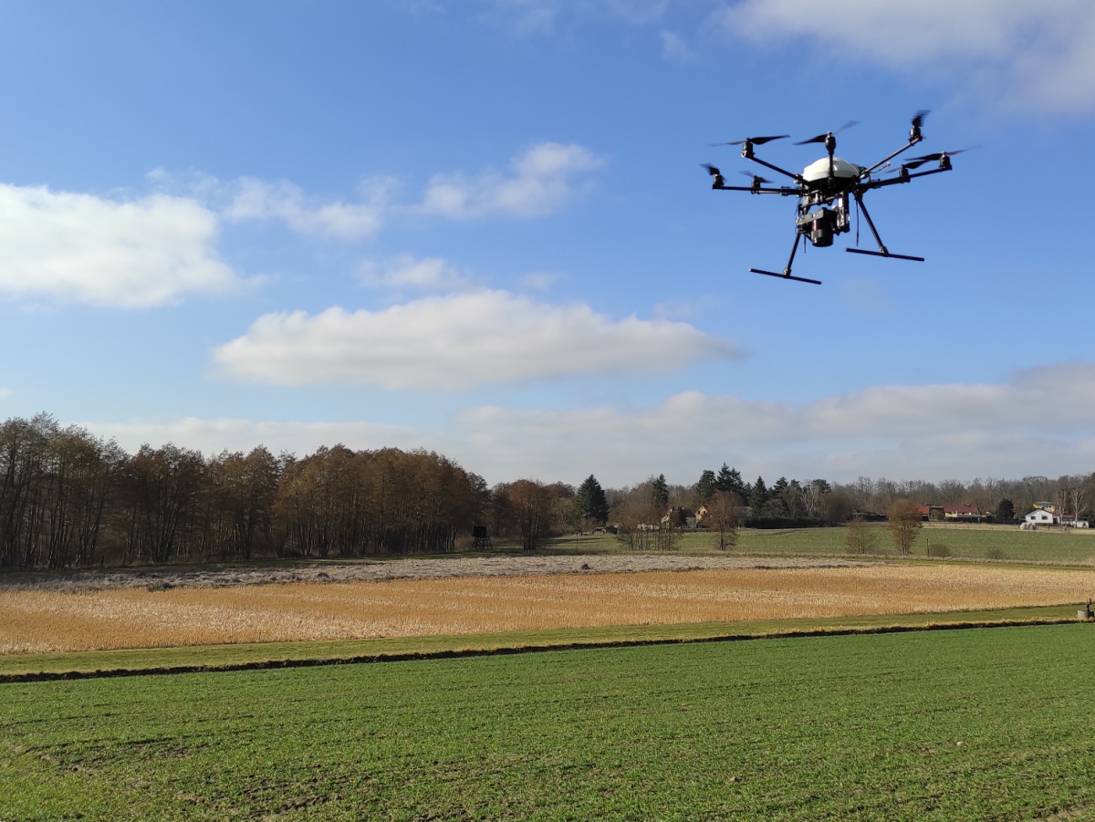 Drohnenflug mit Kamera über ein Weizenfeld im Fieldlab for Digital Agriculture des ATB am Standort Marquardt. (Bildquelle: © Michael Schirrmann, ATB)