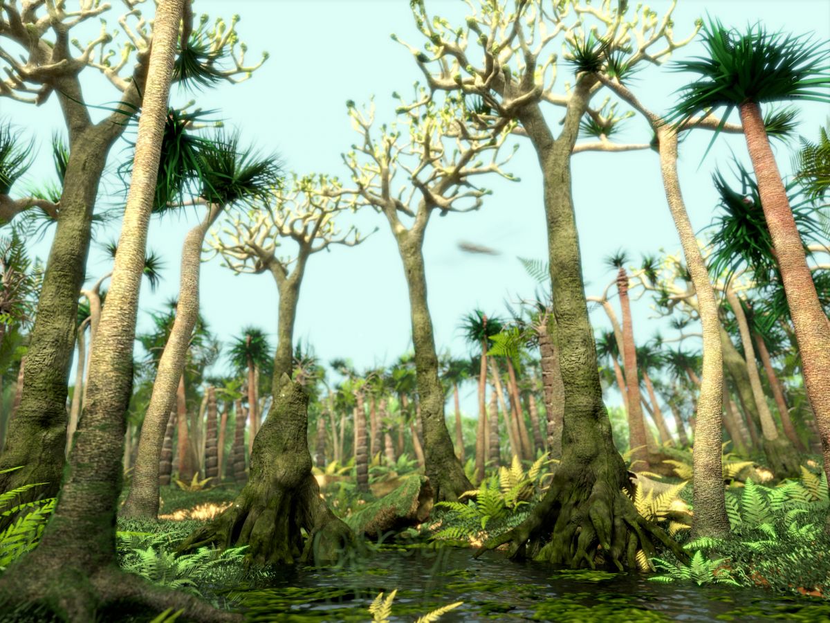 Vor 300-360 Millionen Jahren bedeckten Farnwälder die Erdoberfläche. Heute führen Farne meistens ein Schattendasein unter den Bäumen.
