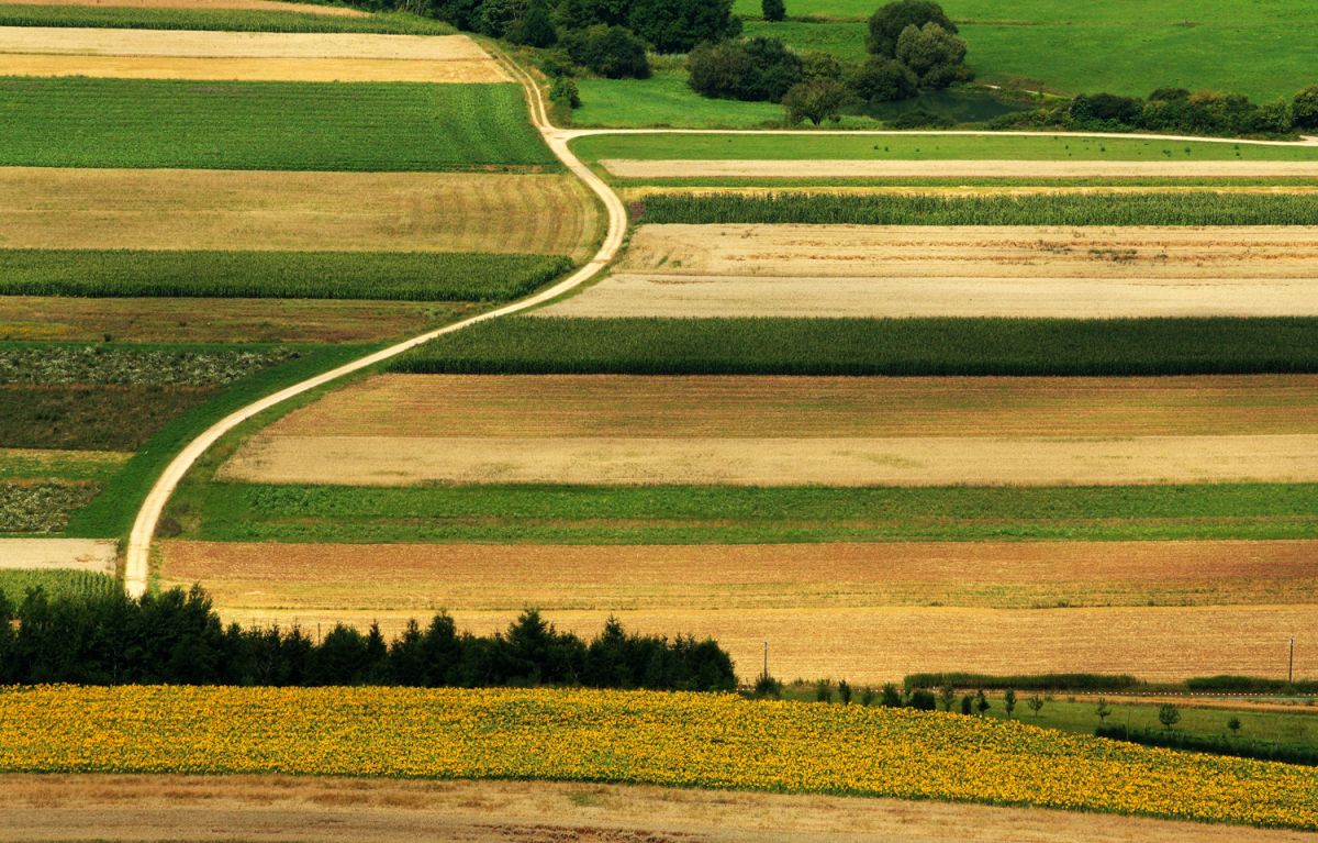 Wie wird die Landwirtschaft in Zukunft aussehen? Und wird sich im Zuge einer Anpassung auch unser Landschaftsbild verändern?