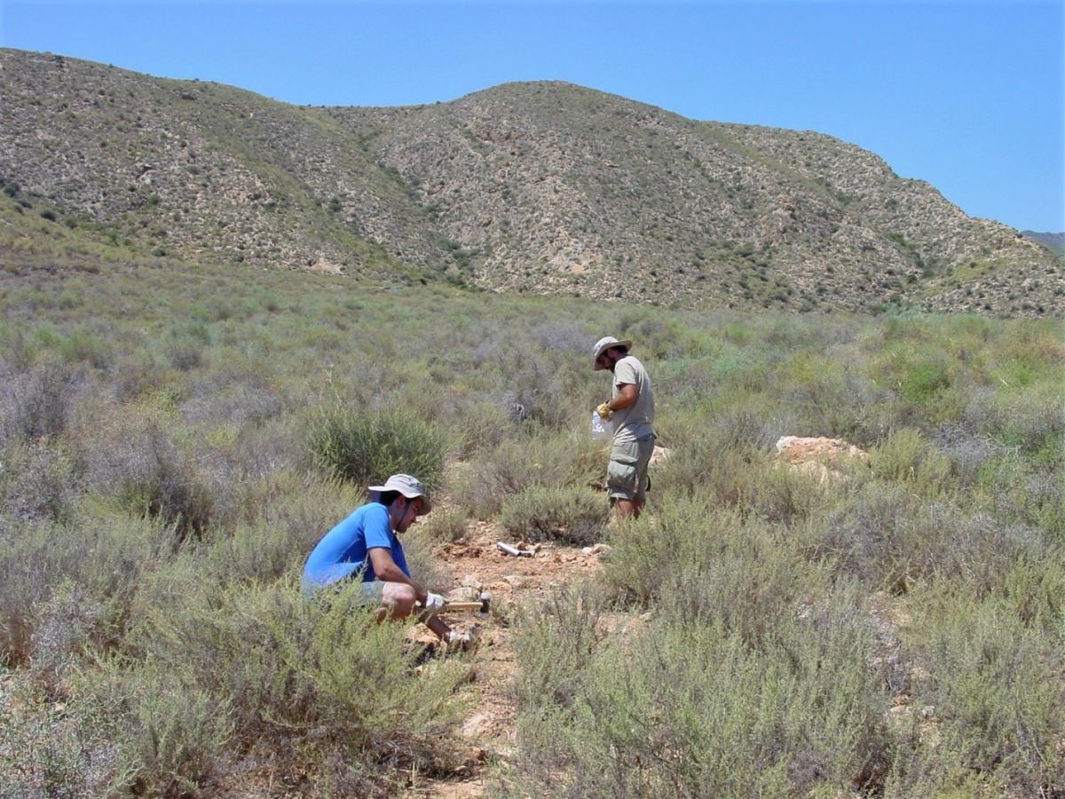 Forscher bei der Entnahme von Bodenproben in Spanien. Trockengebiete gehören heute zu den Ökosystemen mit den höchsten Anteilen an bodengebundenen Pflanzenpathogenen.
