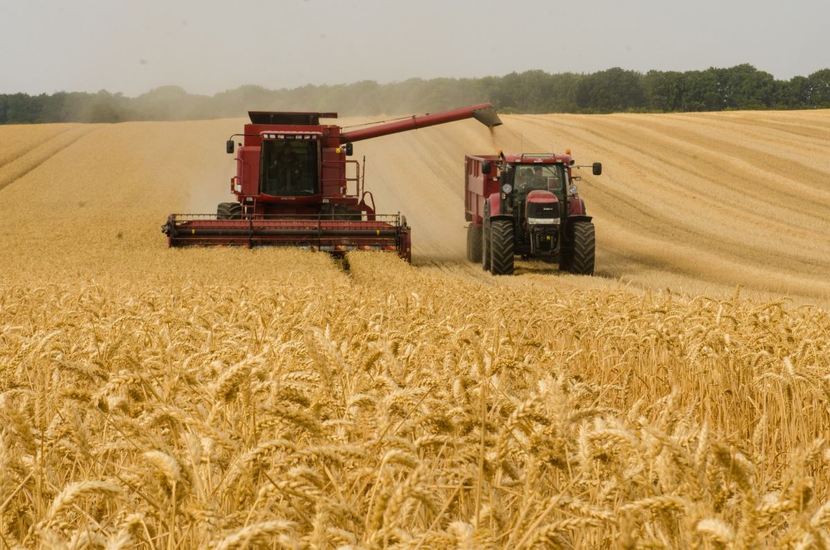 92 Prozent des international gehandelten Weizens stammt aus nur zehn Anbauregionen.