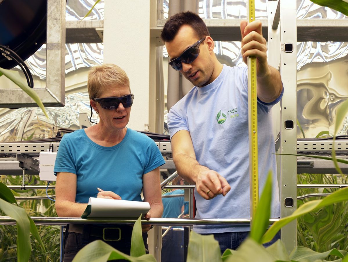 Für die aktuelle Studie haben Marc Heuermann und Gunda Wehrstedt die Entwicklung der Pflanzen dokumentiert.
