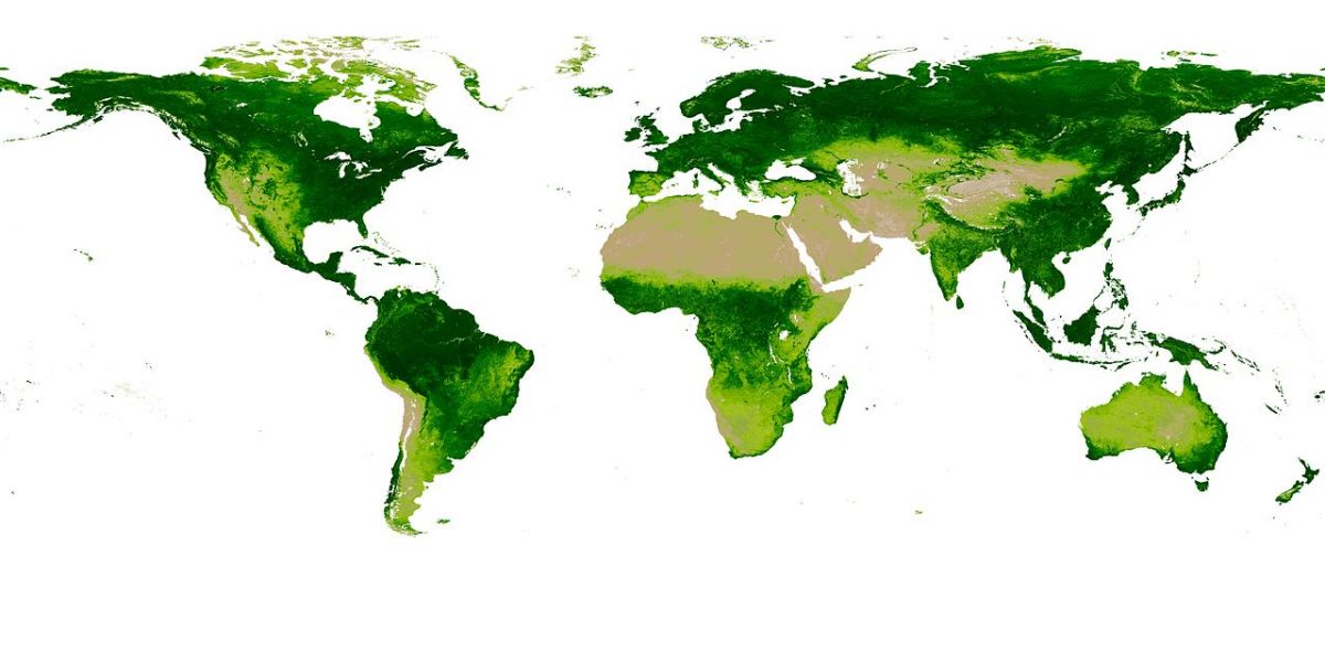 Dank der satellitengestützten Erfassung ist es möglich, die globale Vegetation anhand des Reflektionsverhalten der Pflanzen zu dokumentieren. Der Vegetationsindex NDVI ist in dem Zusammenhang ein wichtiger Indikator. Die vorliegende Vegetations-Weltkarte stammt aus dem Jahr 2013. 