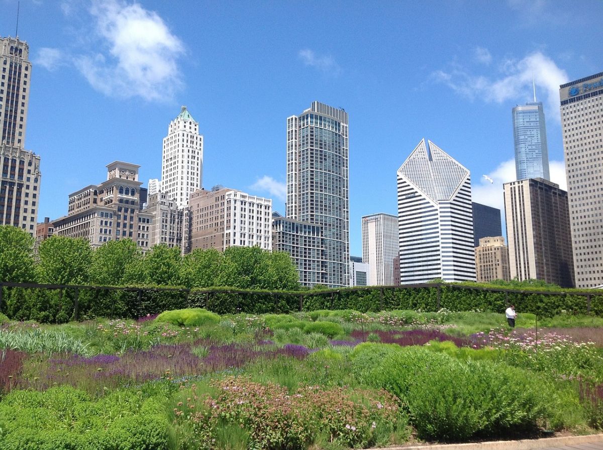 Garten in Chicago City: Urban Gardening liegt im Trend. (Bildquelle: © Theresa McGee / Pixabay)