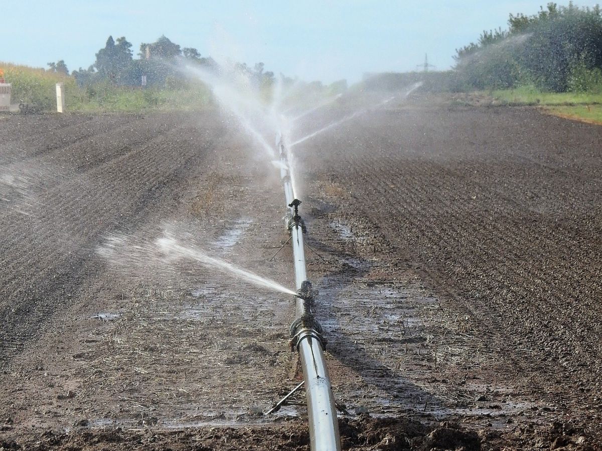 Die Bewässerung ist eins der Themenfelder, in denen eine Anpassung nötig wird.
