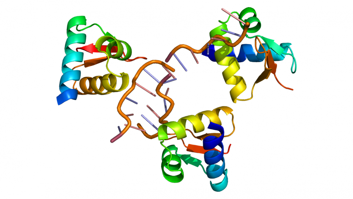 Modell des ADAR-Eznyms, das aus dem Nukleosid Adenosin das Nukleosid Inosin macht. (© Emw/Wikimedia.org/CC BY-SA 3.0)
