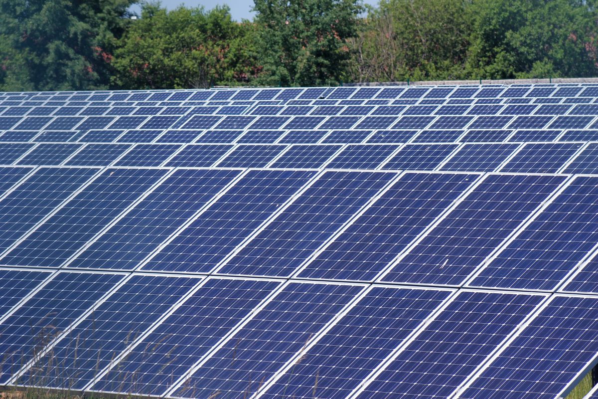 Solarzellen imitieren, was Pflanzen schon lange können: Sie wandeln Energie aus Sonnenlicht in chemische Energie um. (Bildquelle: © Uwe Schlick / pixelio.de)