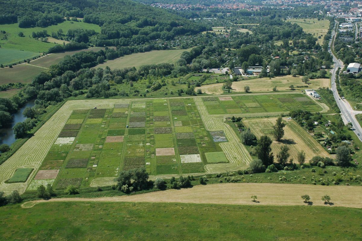 Luftbild des Jena Experiments: Parzellen der Biodiversitätsforschung. (Bildquelle: Jena Experiment)