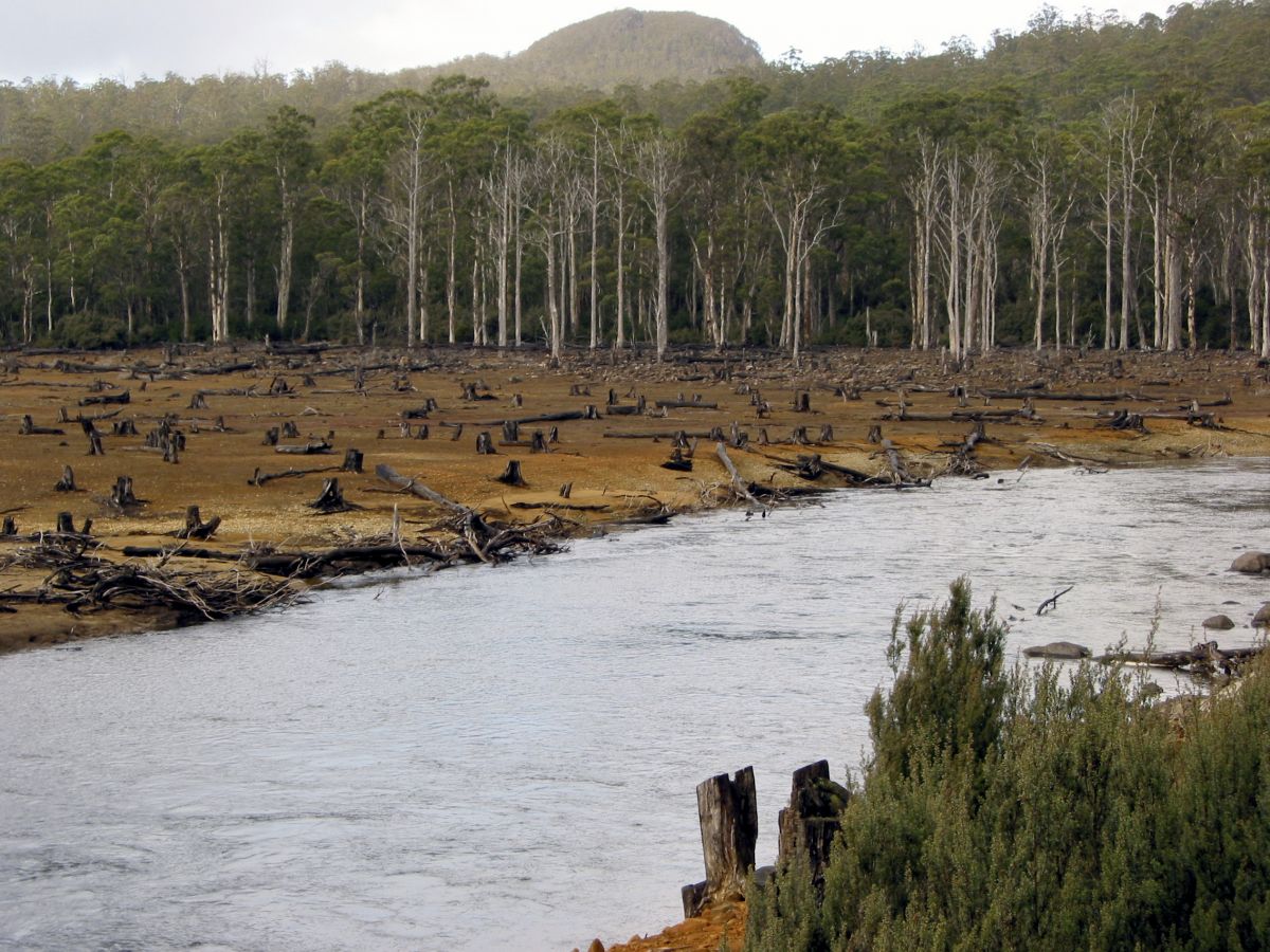 Die Abholzung der Tropenwälder hat großen Einfluss auf das globale Klima und fördert Armut.