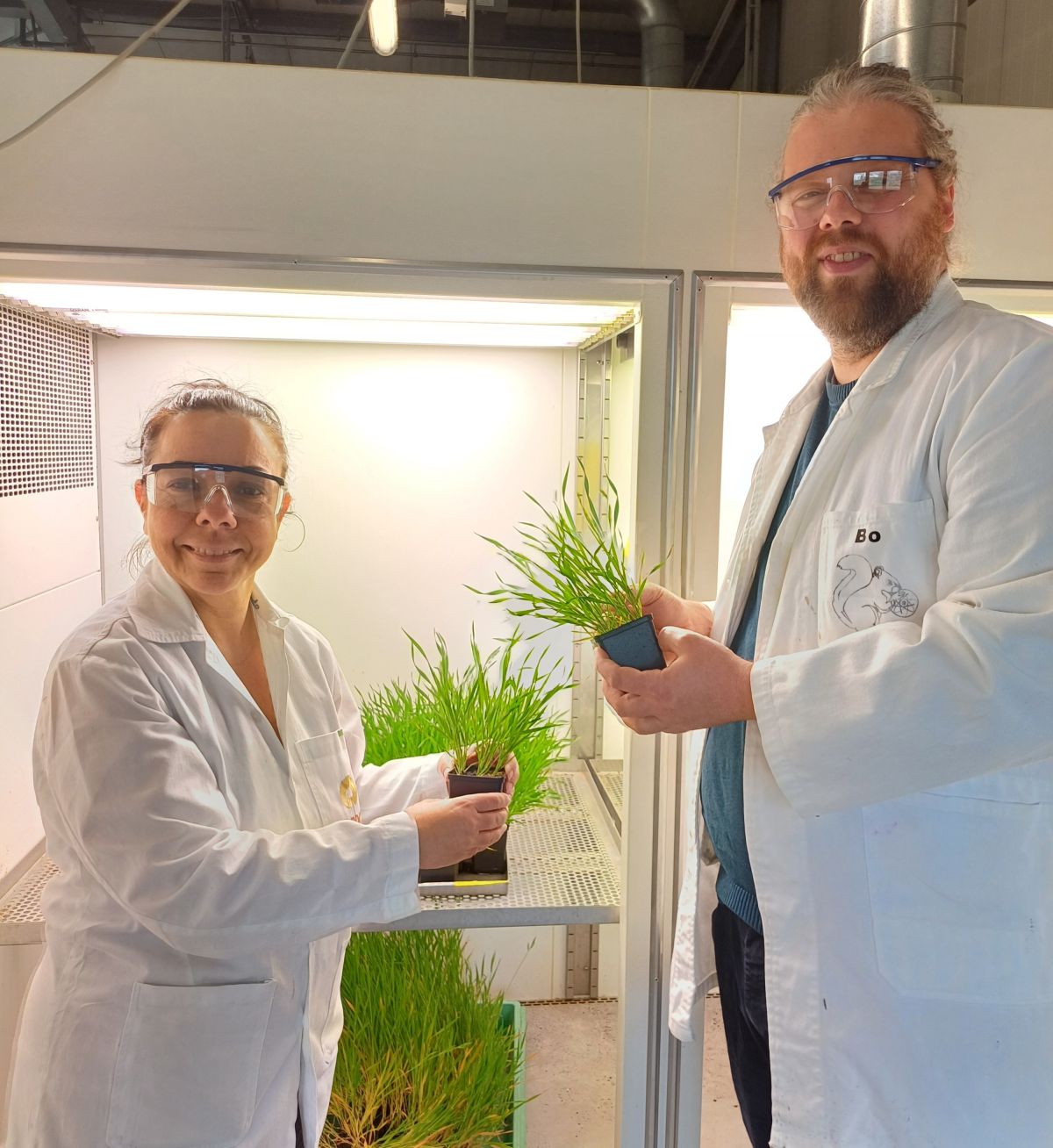 Rebekka Schmidt und Dr. Bernhard Werner arbeiten beide am Wheatinterfere-Projekt. Hier stehen sie vor einem Anzuchtschrank mit Weizenpflanzen.
